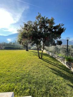 Affittacamere Il Vecchio Mandorlo - Quarrata - 1