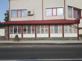 La Zinculescu - 5