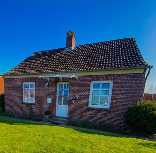 Huus-Appelboom - Blersum - 9