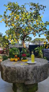RITA HOME B&B SORRENTO - Sorrento - 6