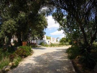 Quinta do Amendoal o melhor da Natureza no Algarve - 9