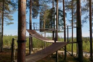 Treehotel - Harads - 4