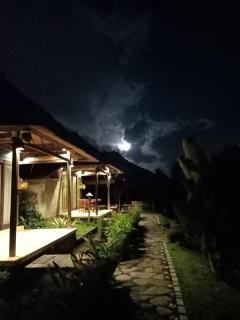 Taman Bintang Villa Ubud - Ubud - 2