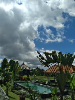 Taman Bintang Villa Ubud - Ubud - 1
