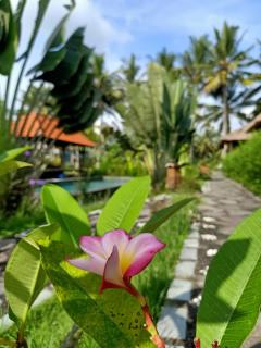 Taman Bintang Villa Ubud - Ubud - 7