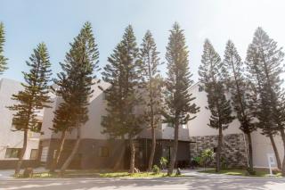 Araucaria Residence - 8