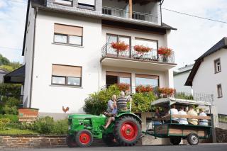 Ferienweingut Hirschen Schulstraße - Burg an der Mosel - 7