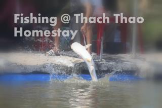 Thạch Thảo Homestay - 2