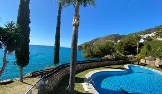Blue Charme - La Herradura - 7