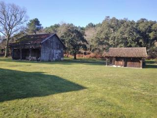 LE PETIT FROUAS SUD - Vielle-Saint-Girons - 2