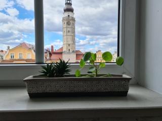 Apartament w Rynku For You - Bolesławiec - 5