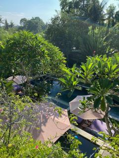 Silversand Villa - 3