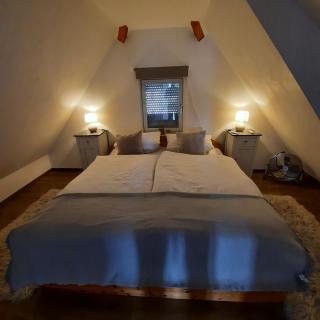 Apartment Moritz - Lahr - 2