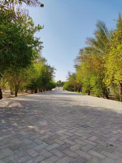 Sara Farm - 2