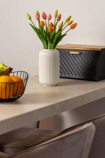 Gallery apartment Megan2 with parking - Kastav - 6
