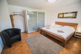 Apartment pri Povhih - Slovenske Konjice - 3