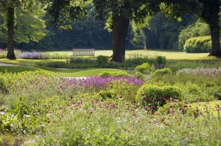 Ferienwohnung und Gästezimmer Iburgblick - 1