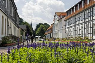 Ferienwohnung und Gästezimmer Iburgblick - Bad Driburg - 6