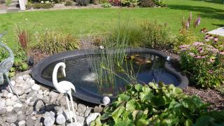 Ferienwohnung und Gästezimmer Iburgblick - 8