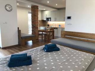 ANICO apartmány - Dolní Benešov - 3