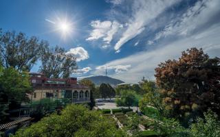 Tamarisi Old Tbilisi - 0