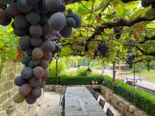 Maison des Etoiles Chambre d'hôtes, gîte Adult Only - 3