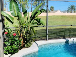 Luxury Villa - 75 inch smart TV, Upgrades throughout! 20 minutes to Disney - Davenport - 5