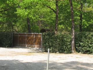 Soulac Locations - 8