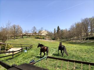 La Regibussa - Hotel Ristorante - Asti - 5
