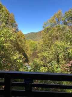 Bella Vita - Pet Friendly Cabin - Maggie Valley - 3