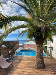 Rose phoenix appartement terrasse et piscine vue mer - Les Anses-d'Arlets - 8