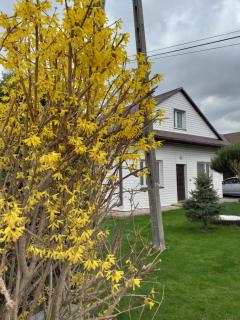 Domek pod Przehybą, Noclegi w okolicy Stary Sącz, Łącko, Szczawnica - 8
