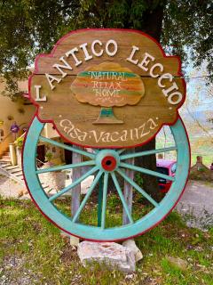 Antico Leccio Green - 9