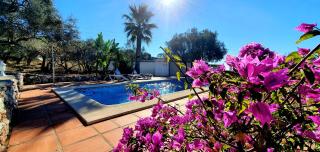 Finca Casa Emilia - 4