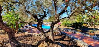 Finca Casa Emilia - Cómpeta - 3