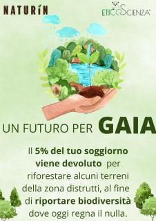 B&B Naturin - Eco Farm - 4