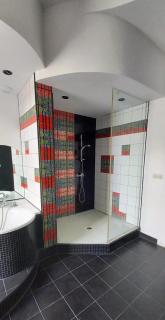 Histoire de Loire - DU BELLAY - 4