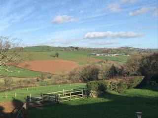 The Nest - Modbury - 7