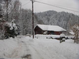Appartement "L'HORIZON" meublé dans chalet, proche lac au calme - Gérardmer - 1