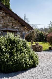 La Fagne Fleurie Les Myrtilles en Les Camomilles - 1