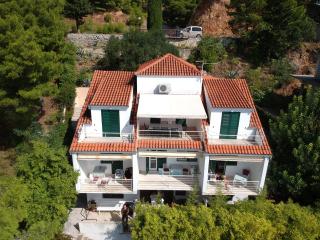 VILLA LEON*** - Mimice - 1