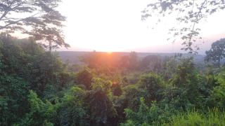 Bukit Lawang Hill Resort - Bukit Lawang - 2