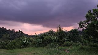 Bukit Lawang Hill Resort - Bukit Lawang - 3