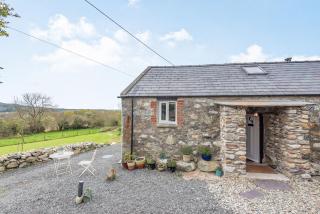Celyn Farm Cottage - Cwm-y-glo - 9