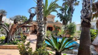 Riumar "Pedro", 270m to beach, private pool, On-Site-Service, dog beach - 7