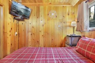 Bear Cub Cabin #2069 by Big Bear Vacations - Big Bear Lake - 1