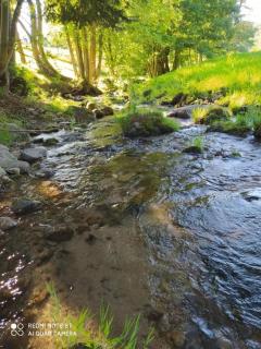 Le logis aux digitales - La Croix-aux-Mines - 4