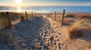 Evy's Garden house - Zandvoort - 6