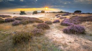 Evy's Garden house - Zandvoort - 7