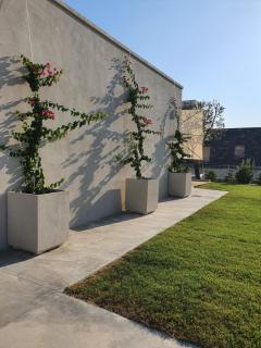 Casa Lunaria B&B - Porto SantʼElpidio - 2